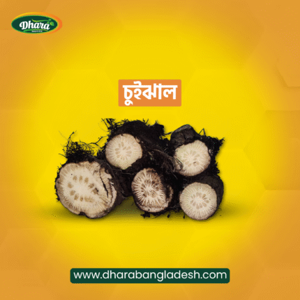 Chui Jhal | চুই ঝাল(খুলনার)